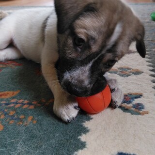 5月10日生まれの可愛い珊瑚ちゃん