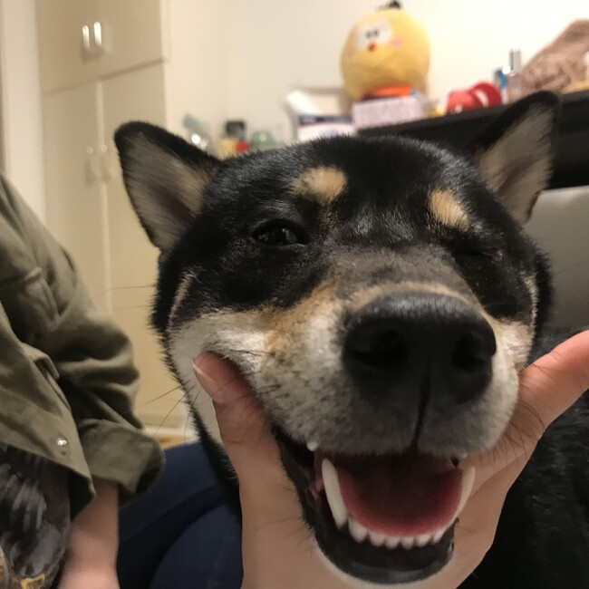 えみたん☺︎のカバー写真
