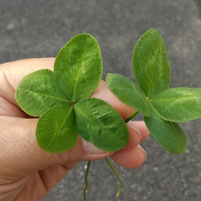 bun1103のカバー写真