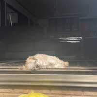 れお