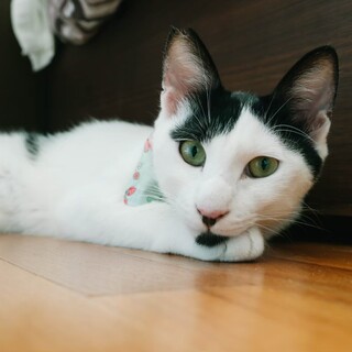 アゴひげが素敵な『オラフ』