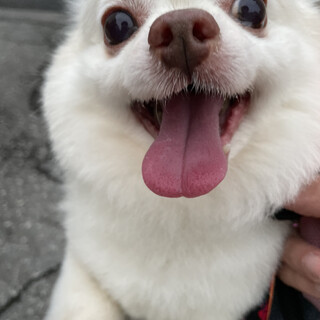 ハンタくん♡家族が決まりました！