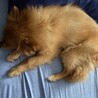 柳博正 さん