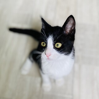 【とっても甘えん坊】鼻ほくろが可愛い/はじめくん