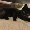 あずき
