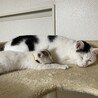 仲良くお昼寝♡