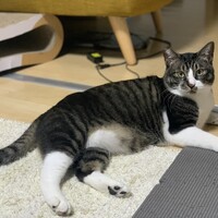 そぼろ