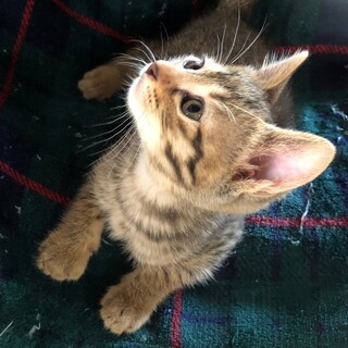 天然すぎて可愛い、りーくん❗️トライアル決定