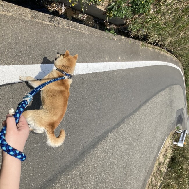 はまのせのカバー写真