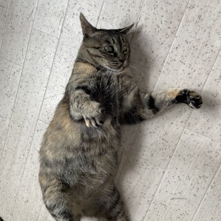 愛嬌いっぱい！挨拶上手なおさちゃん