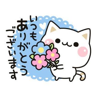 【再募・保護猫】まんまるコロコロ！明るく積極的