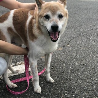 可愛い箱入り息子♡幸太郎