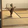 の写真