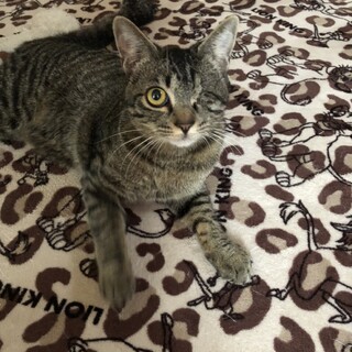 ハンディを乗り越え 幸せになりたい