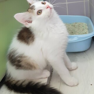 ありがとうございました