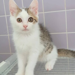 ありがとうございました