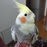 すまいるカンパニー