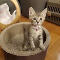 6ヶ月かぼすちゃん