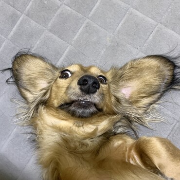 の写真