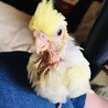 ミラちゃん♡♡１ヶ月