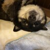 奈っちゃん