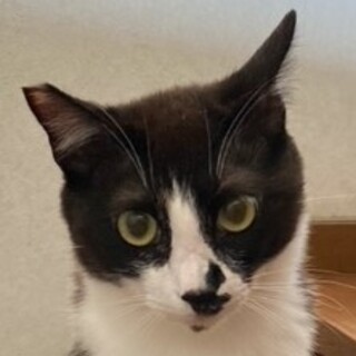 白黒クーくん
