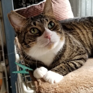 でっかい甘えん坊男子。