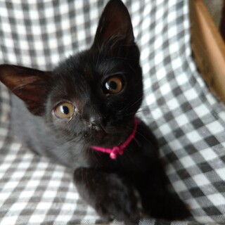 素敵なご縁に恵まれました！