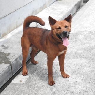 人が大好き元気いっぱいです！