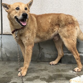 急募！！！！怖がりな男の子