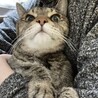 りんままちゃん