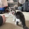 の写真
