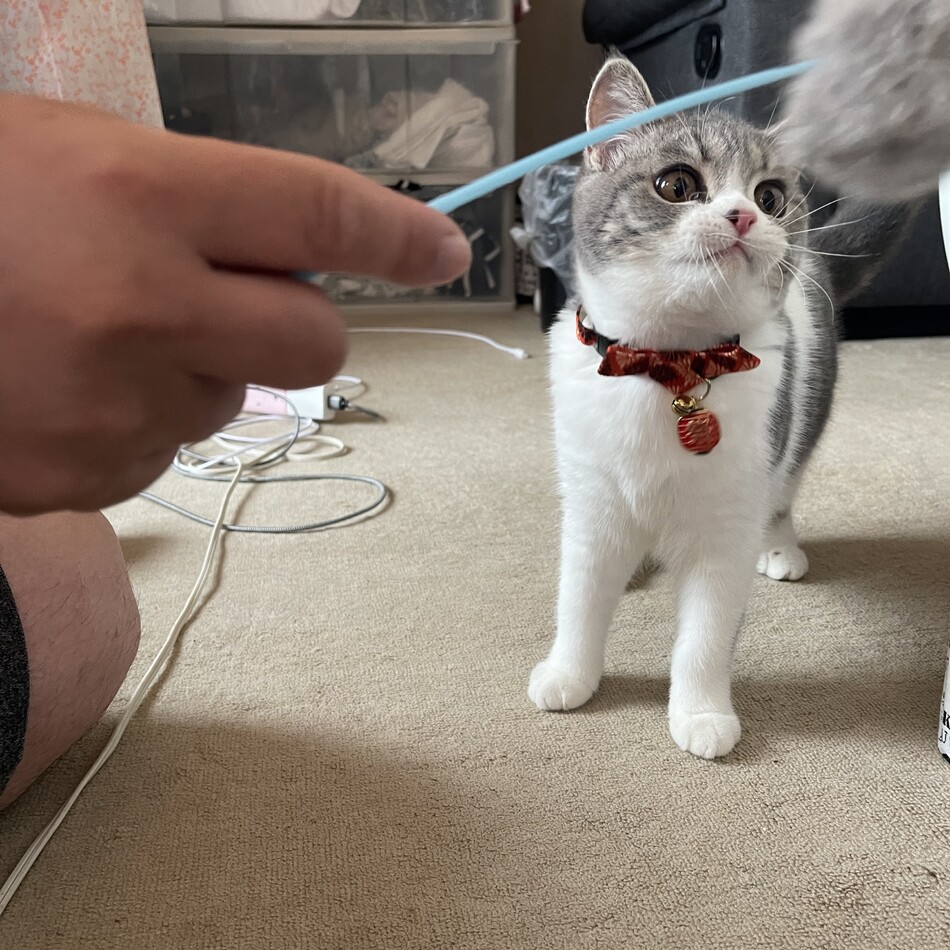福のカバー写真