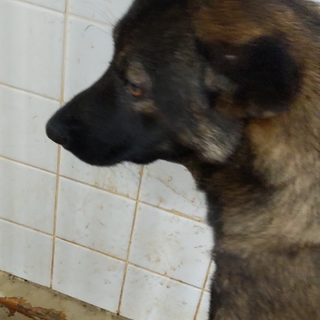 収容期限1週間です、、