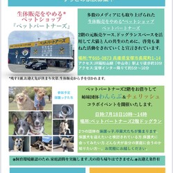 保護犬に会いに来てね サムネイル1