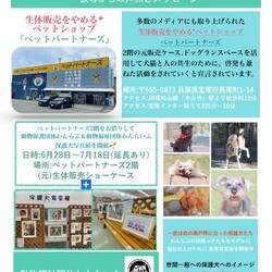 保護犬に会いに来てね サムネイル2