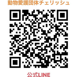 保護犬に会いに来てね サムネイル3