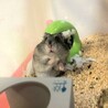 驚いてる？