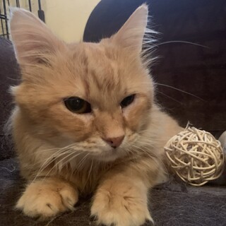 募集を終了させていただきます。