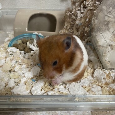 ママの休憩。