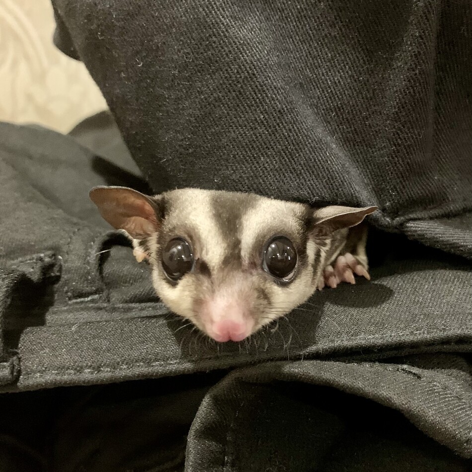 CHILLのカバー写真