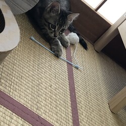 「離乳食期遊び食べ」サムネイル2