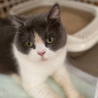 ありがとうございました。