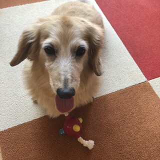 幸せみつかりました！