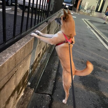 の写真