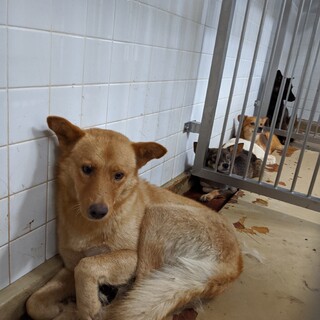 期限が明日になります