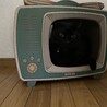 もうすぐ夏、僕が来た日から一年