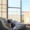すずふくちゃん
