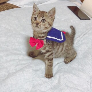人馴れ抜群！とってもキュートなすみれちゃん