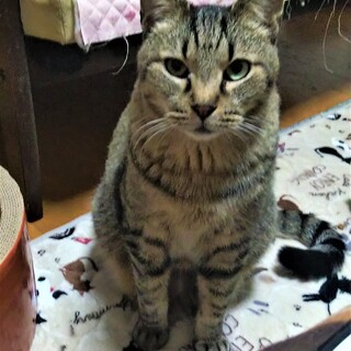 甘えた男子の　栄ちゃん♪